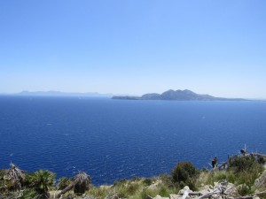 IMG_6716 (Medium)
